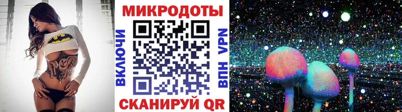 KRAKEN зеркало  Заполярный  Псилоцибиновые грибы мицелий 